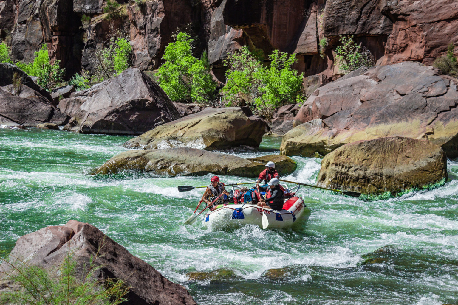 Gates of Lodore Rapids - Lodore - Mild to Wild Rafting