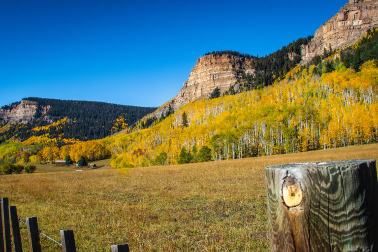 Common Insects & Diseases of Aspen, Colorado State Forest Service