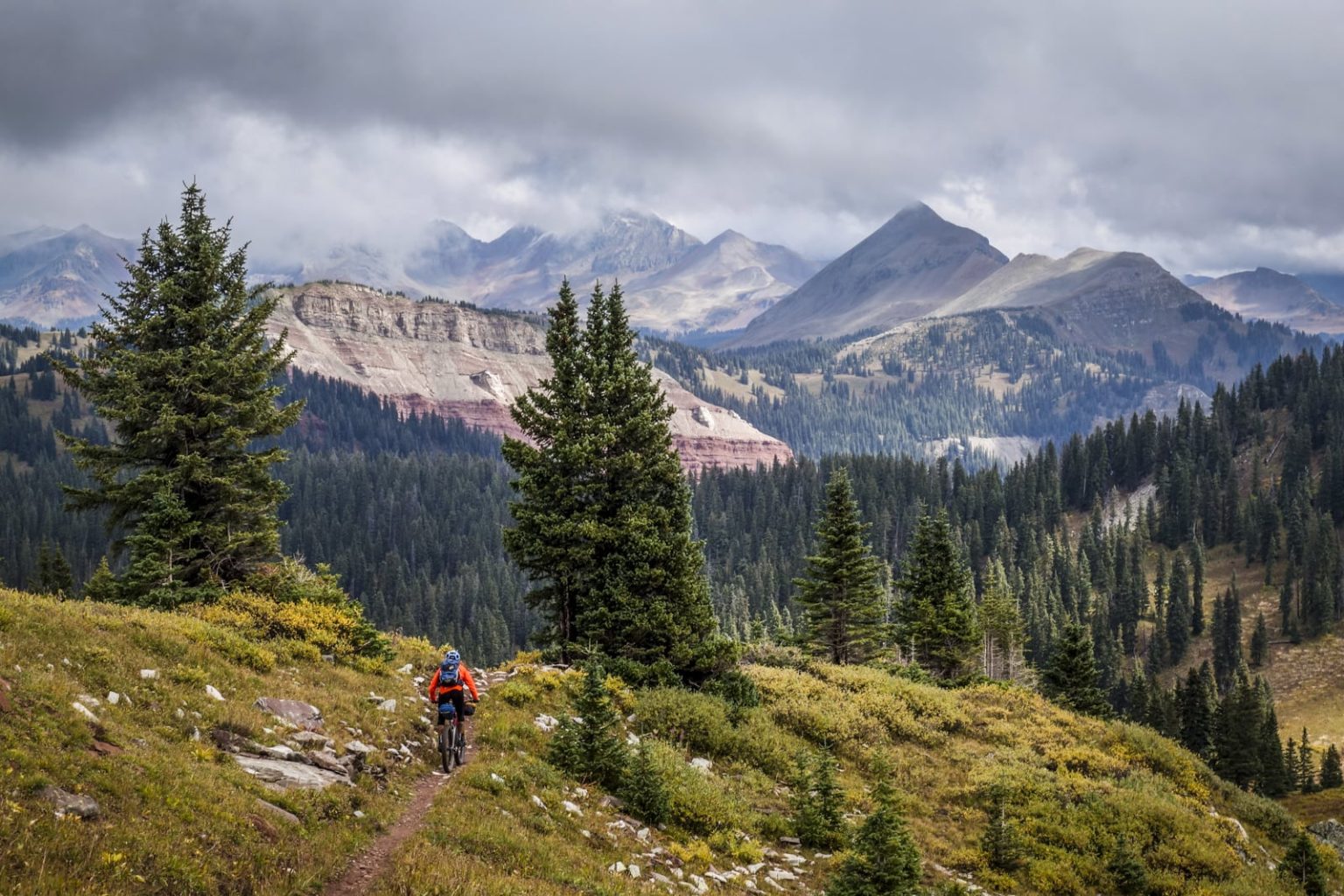 Colorado Trail - Mild to Wild Rafting