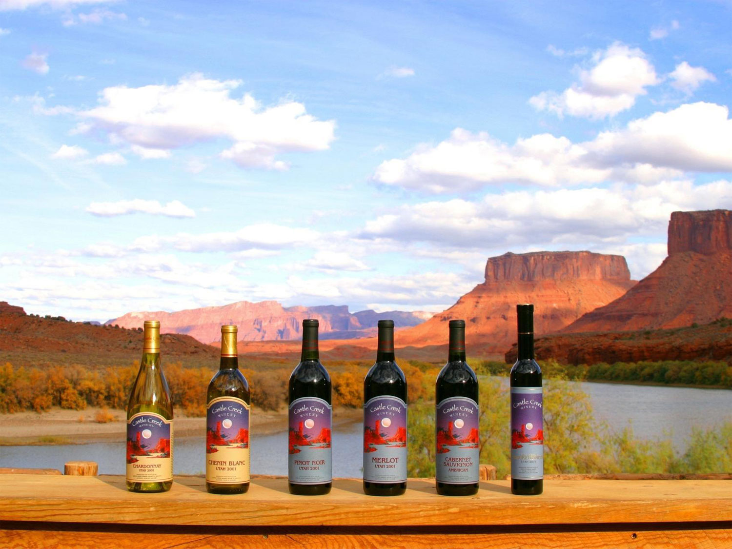 Castle Creek Wines in front on the Colorado River - Mild to Wild