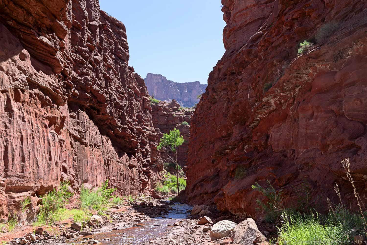 Professor Creek Mary Jane Canyon - Moab, Utah - Mild to Wild