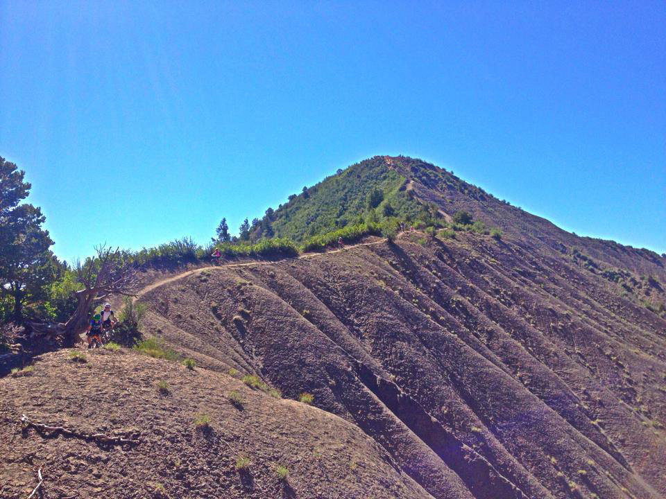 Hogs Back mountain bike trail - Hermosa Tours - Mild to Wild