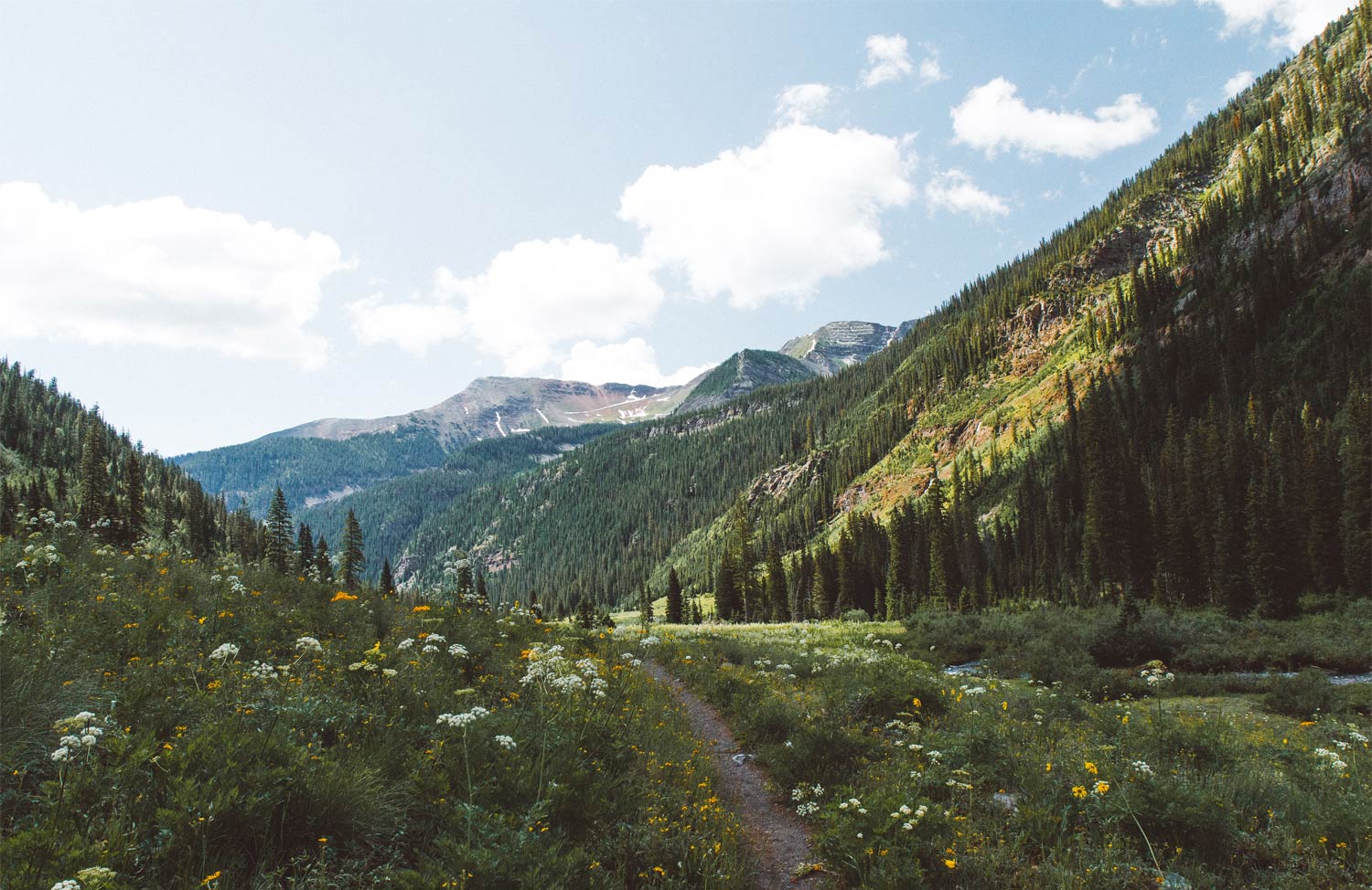 Crested Butte - Holly Mandarich - Mild to Wild