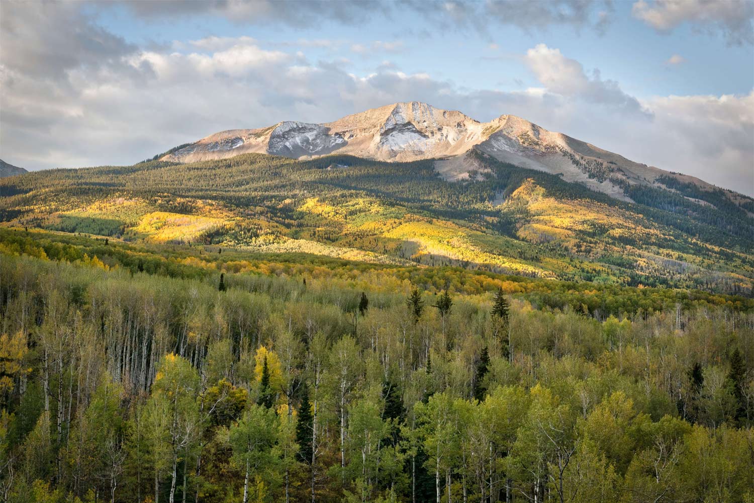 Kebler Pass - Kevin Wenning - Mild to Wild