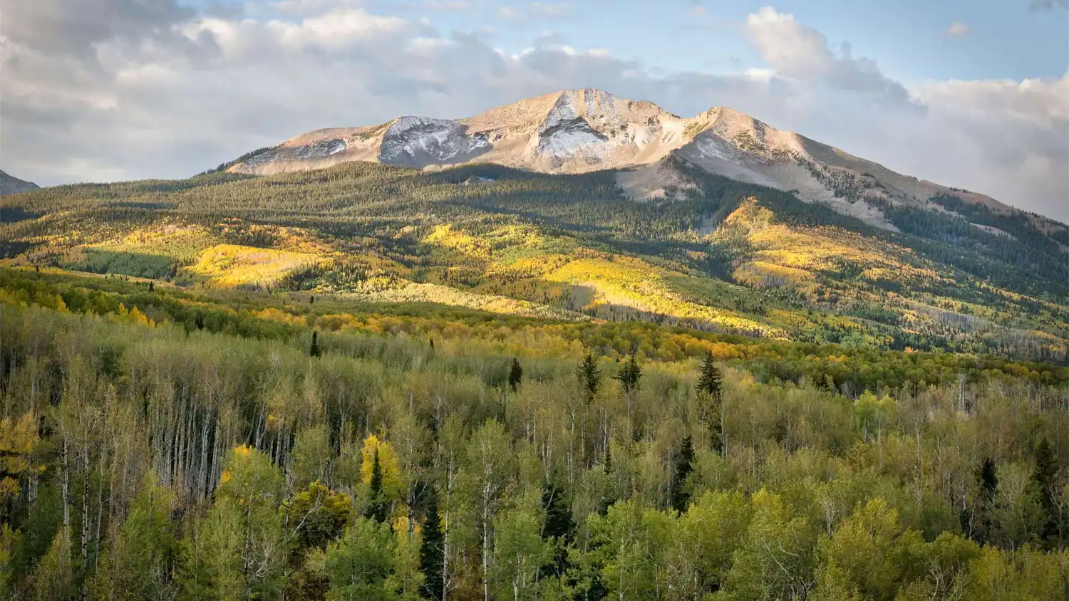 Kebler Pass - Kevin Wenning - Mild to Wild