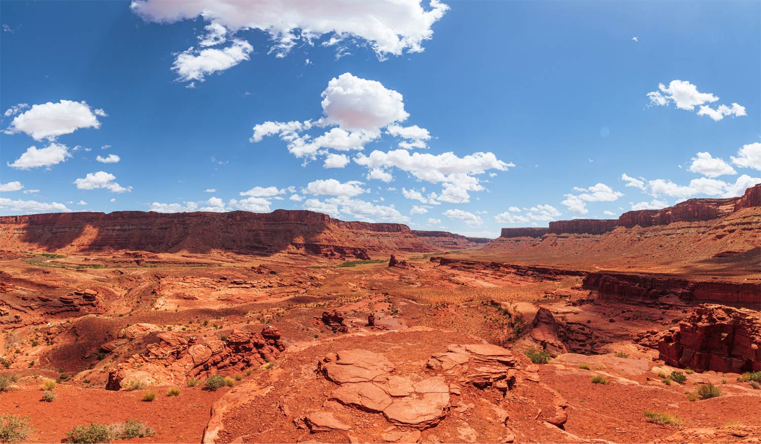 Moab Jeep Tour Panoramic View - Moab Jeep - Mild to Wild