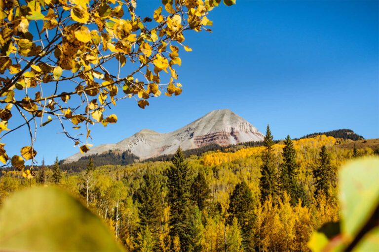 View of Engineer Mountain from Old Lime Creek Road - Mild to Wild