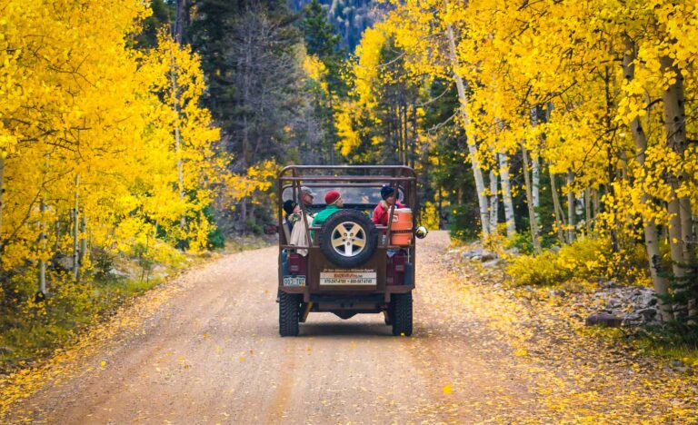 Fall La Plata Jeep Tour - Durango Jeep Tour - Mild to Wild