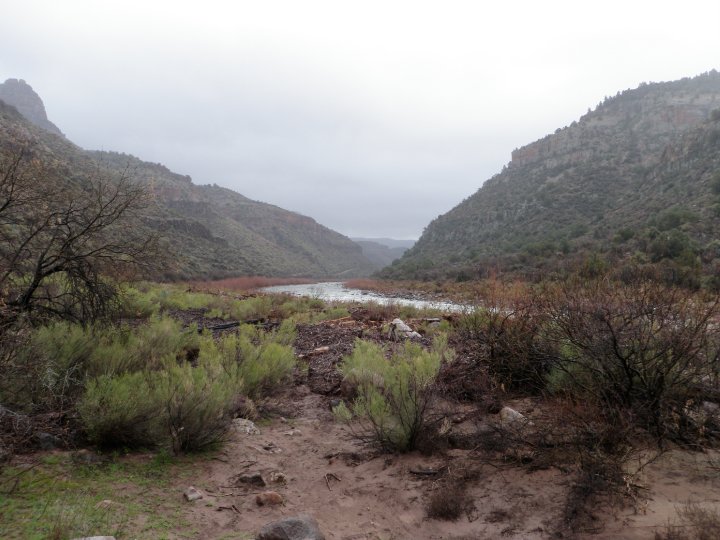 Rain in the Salt River Canyon