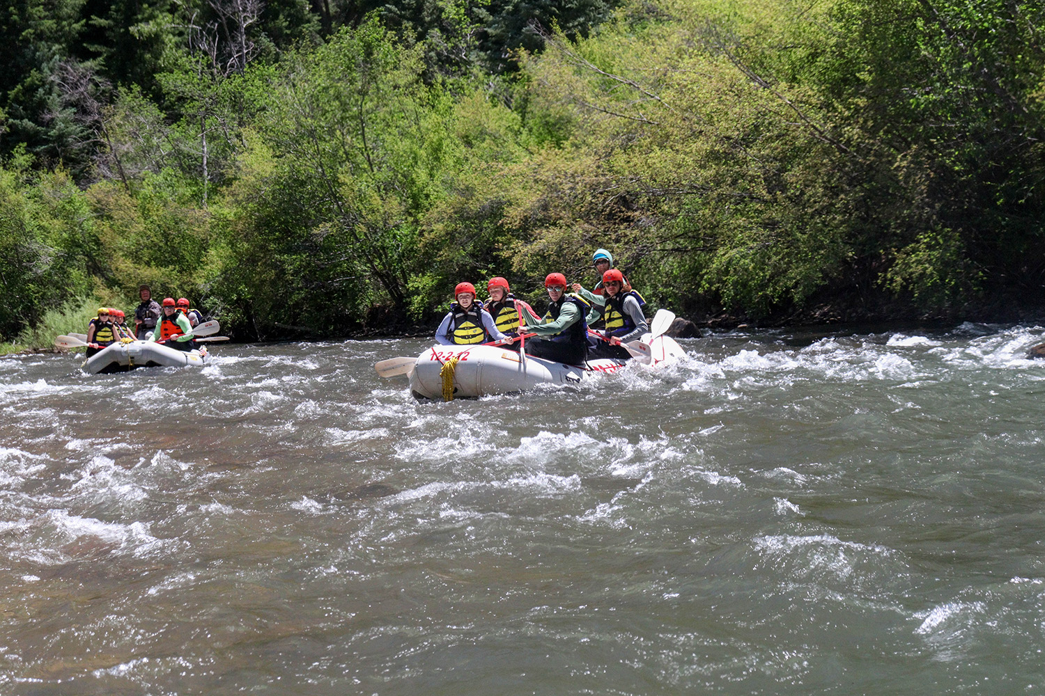 Rafts coming down the wider, lower section of the San Miguel River - Mild to Wild