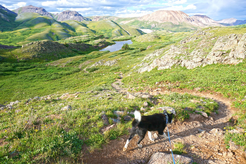 Looming view of the Highland Mary Lakes, mountains in the background, a shepherd on the trail