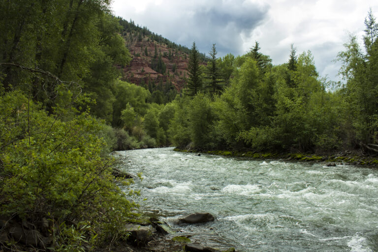 San Miguel River - Wide shot of river and trees