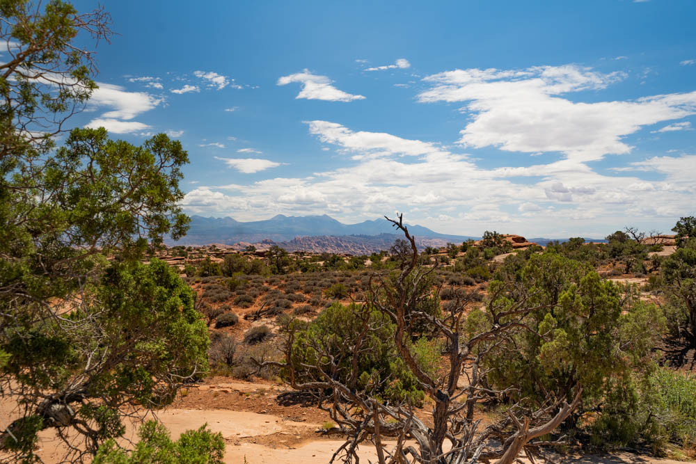Moab jeep tours - scenic overlook on jeep tour