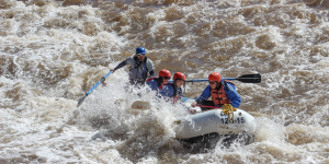 Raft paddling through whitewater on the Salt River - Mild to Wild