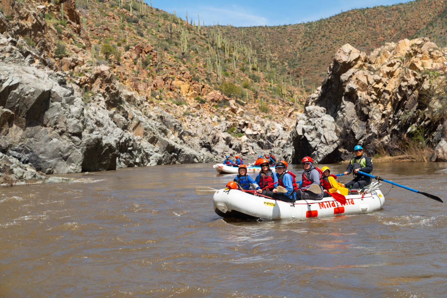 wide view of the upper salt river canyon with Saguaro Cacti - rafting family - Mild To Wild