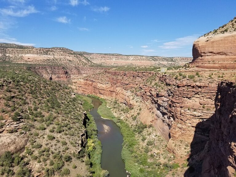 Canyon shot of the Dolores River 