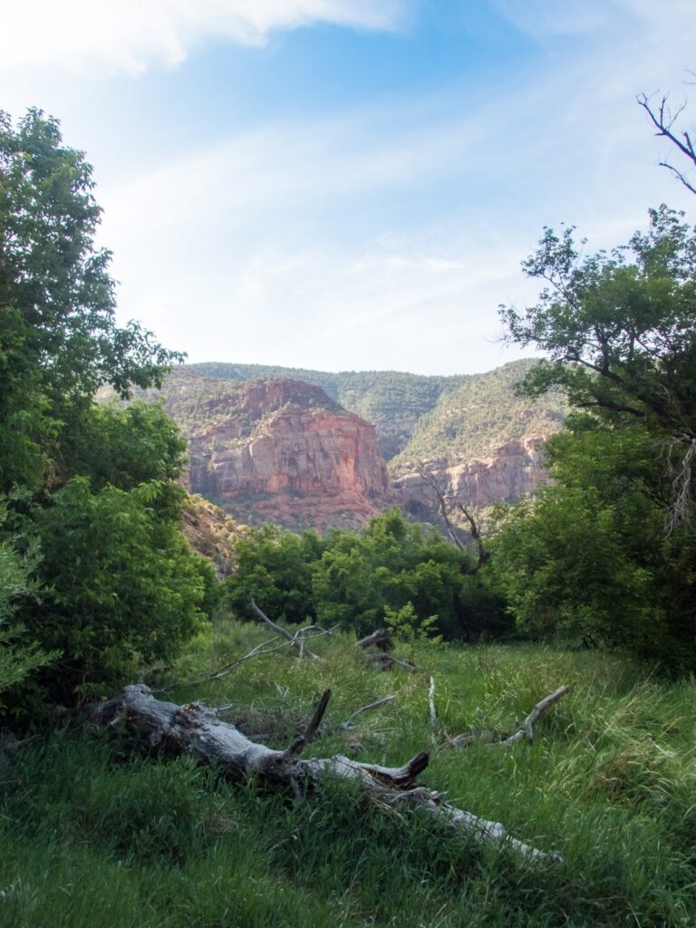 Canyon shot of the Dolores River, Greenery and blue sky