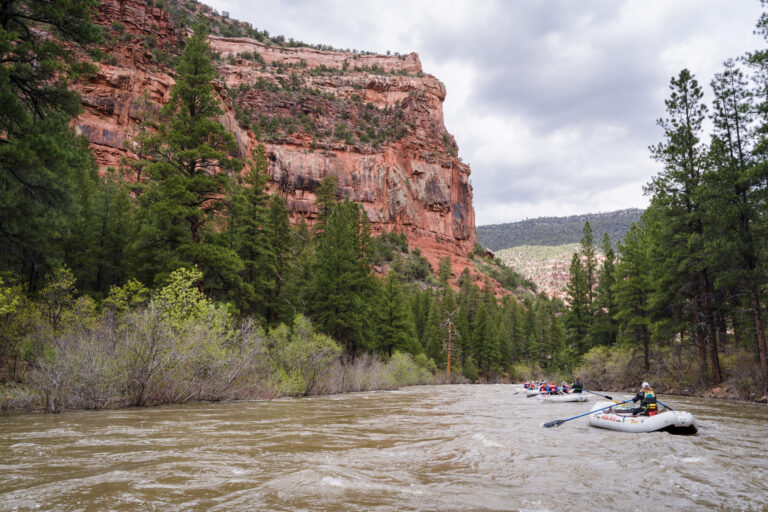 Wide Scenic shot with boats on the Dolores River - Ponderosa Pines