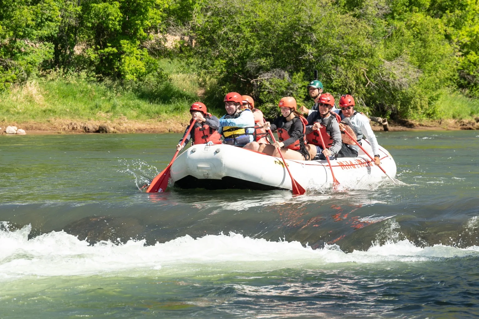 Durango Rafting on the Lower Animas - Guests Paddling - Mild to Wild