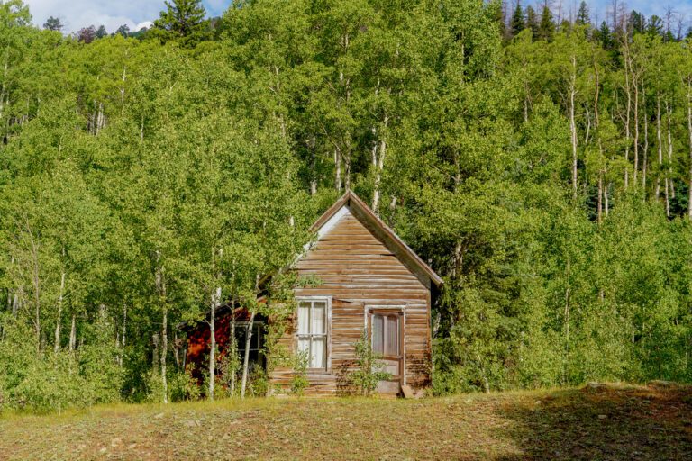 medium shot of cabin centered in the woods with green foliage surrounding it