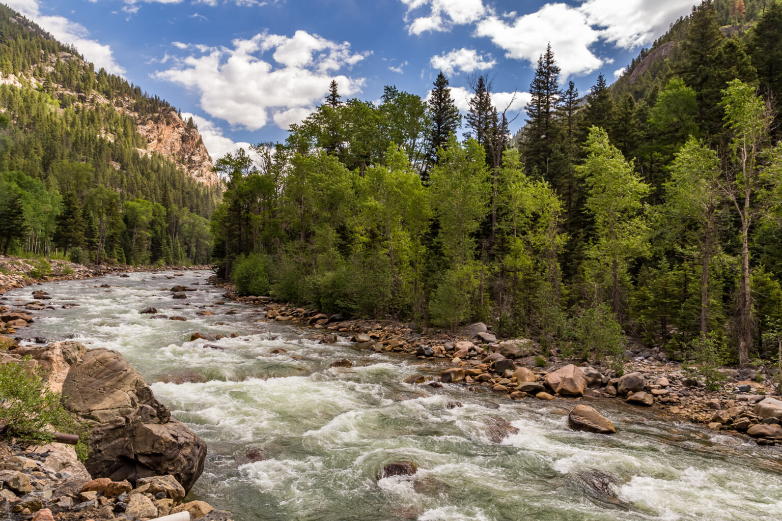 wide shot of the upper animas river cascading downstream - rocks, mountains and pine trees - Mild to WIld