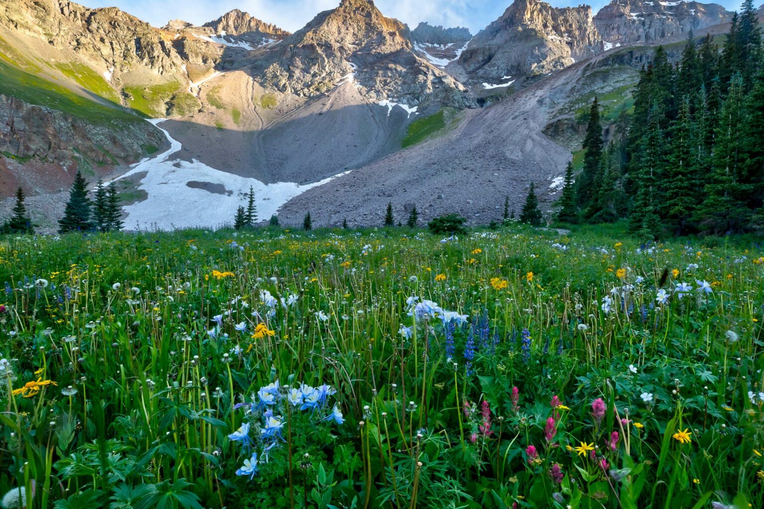 Uncompahgre National Forest