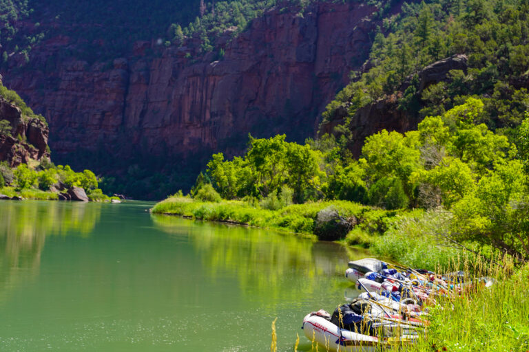 Mild to Wild Rafts parked on shore in the Canyon of Gates of Lodore - lush green trees and still water