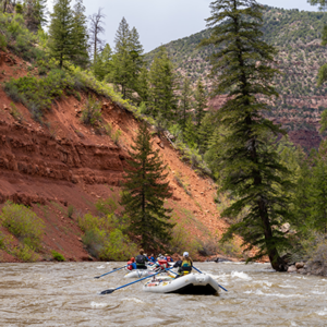 wide shot of raft going through the Dolores river - Ponderosa Pines - Mild to wild