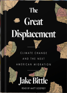 Book cover of The Great Displacement