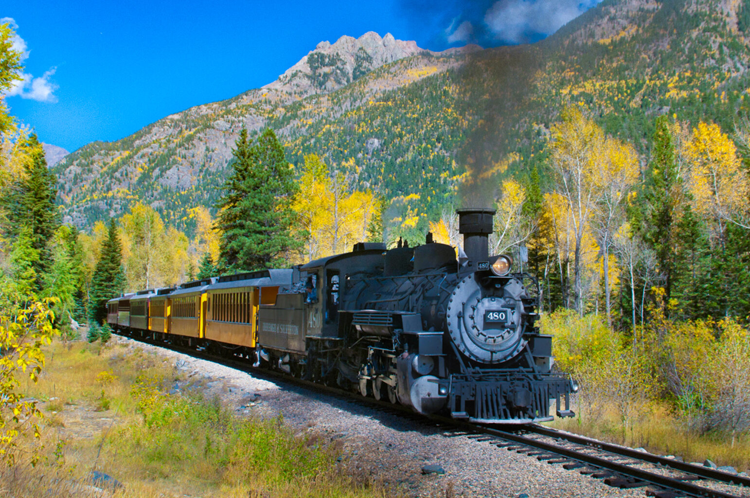 Durango train chugging through the fall colors in the Weminuche Wilderness Colorado