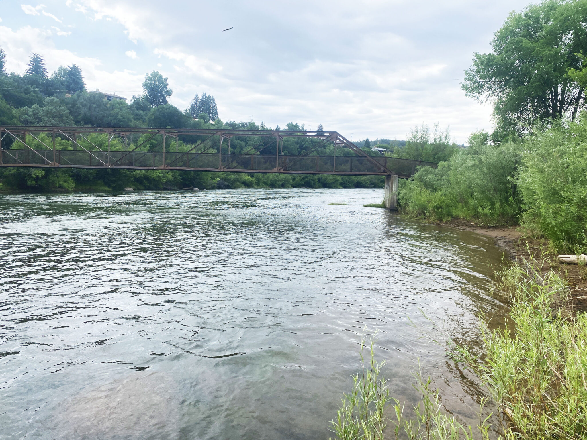 Tubing in Durango How to tube the Lower Animas River Mild To Wild
