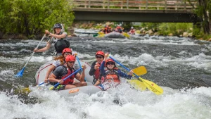 Clear Creek Rafting - group paddling through rapids in Idahor Springs near Denver, CO