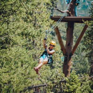 Woman ziplining through pine-covered mountain.
