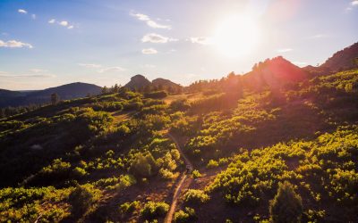 Drone MTB at Twin Buttes - Durango Activities - Mild to Wild