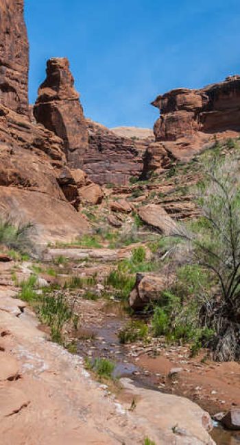 Hunter Canyon Trail - Moab UT Hiking - Mild to Wild Rafting