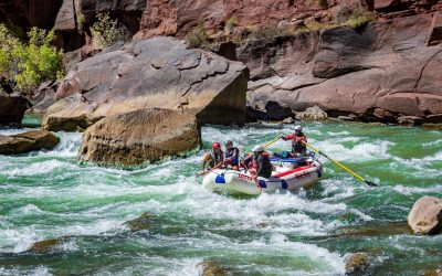 Gates of Lodore Rapids 4 - Lodore - Mild to Wild Rafting