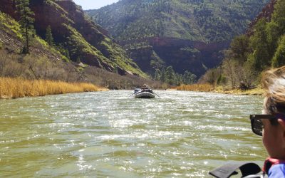 Dolores River Rafting-Colorado-Mild to Wild