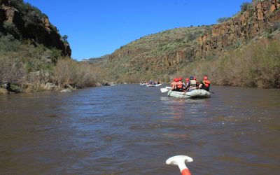 Salt River Rafting Arizona-Mild to Wild