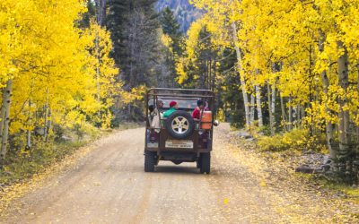 Things to do in Durango Jeep Trail Tours - Mild to Wild