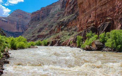 Yampa River Rafting - Dinosaur National Monument - Mild to Wild Rafting