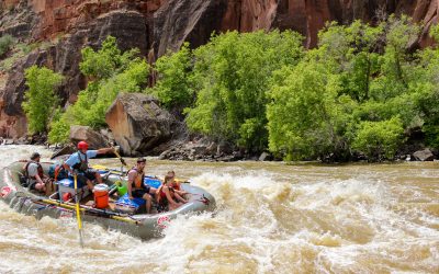 Rapids Yampa River Rafting - Dinosaur National Monument - Mild to Wild Rafting