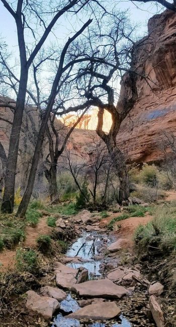 Moonflower Canyon Hiking - Moab Utah - Mild to Wild Rafting