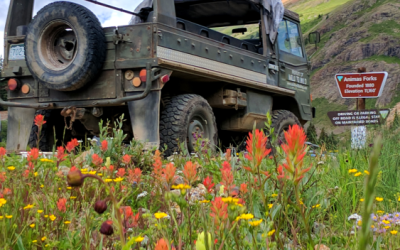 Southwest Colorado Jeep Tours - Mild to Wild