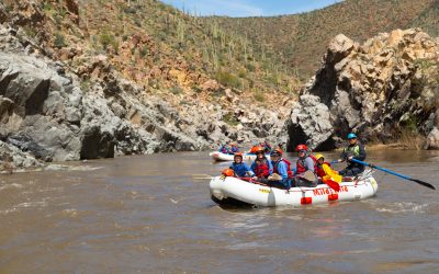 wide view of the upper salt river canyon with Saguaro Cacti - rafting family - Mild To Wild