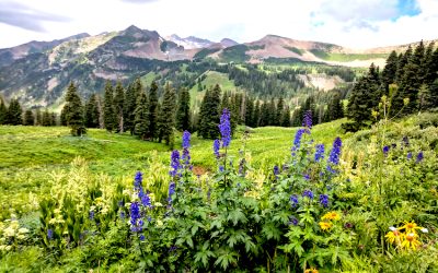 Jeep Tours in Durango Colorado-Mild to Wild